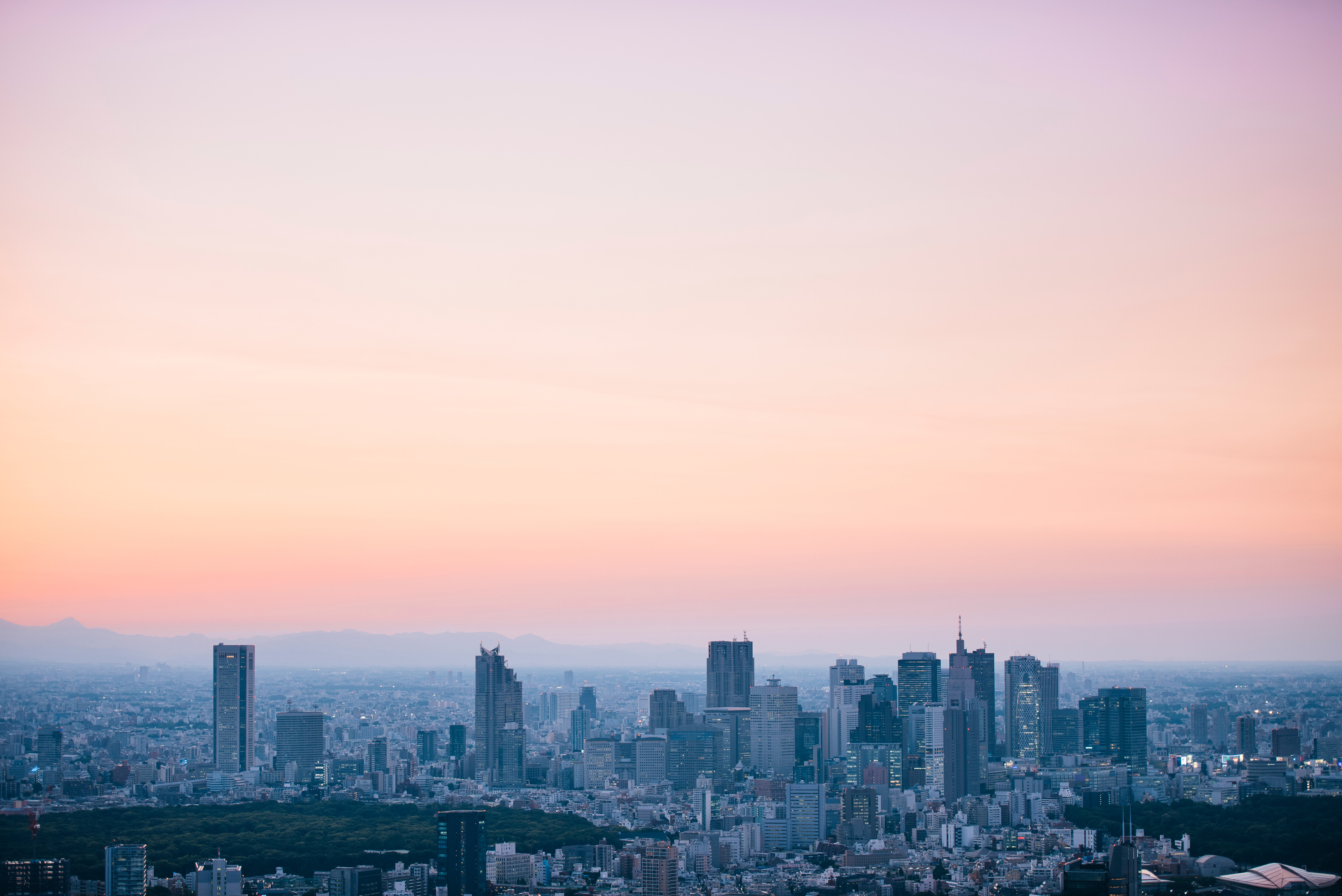Tokyo skyline
